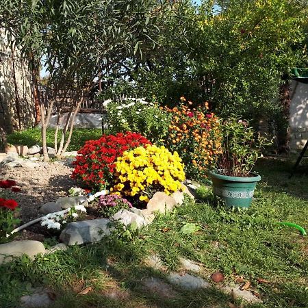 Old House Apartment With Garden Area Mtsʼkhetʼa Bagian luar foto