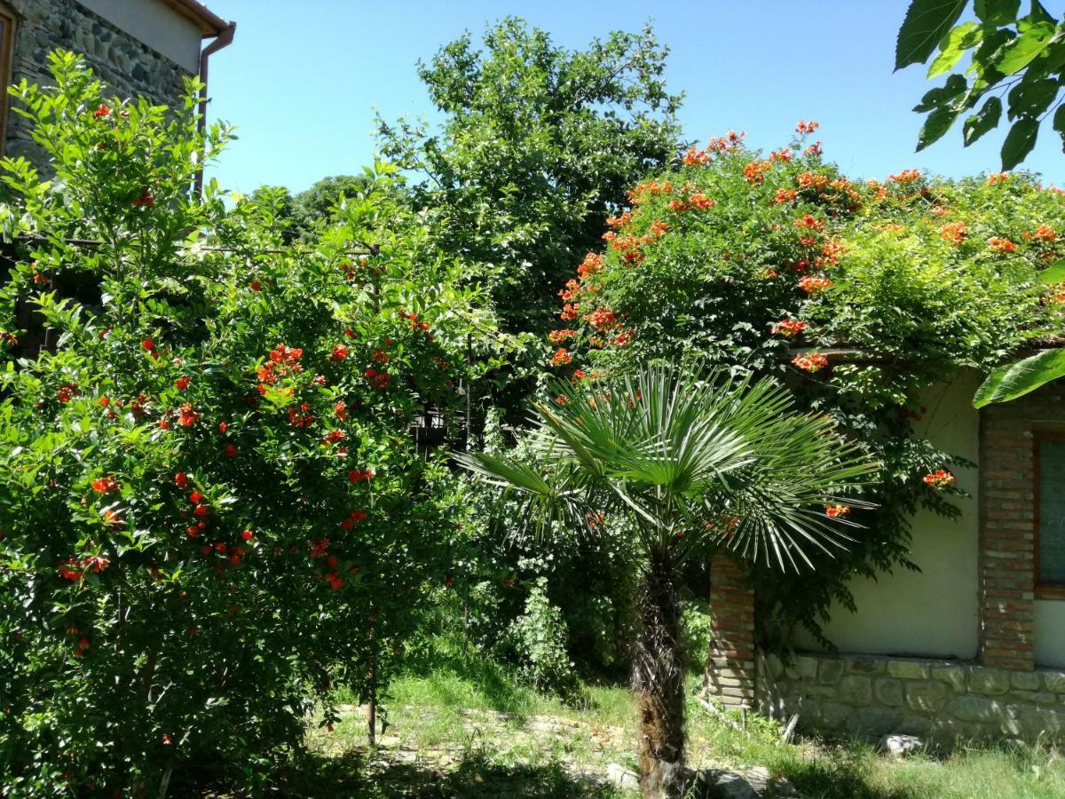 Old House Apartment With Garden Area Mtsʼkhetʼa Bagian luar foto